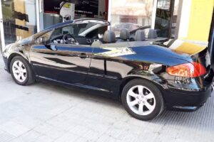 AG Polarizados & Estética