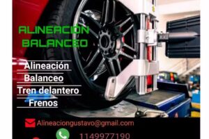 ALINEACIÓN GUSTAVO