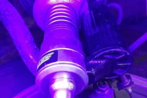 Alineaciones Robledo