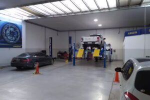 Amalio Orazzi Neumaticos S.A.