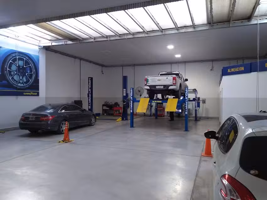 Amalio Orazzi Neumaticos S.A.