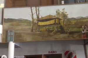 Amortiguadores Julio