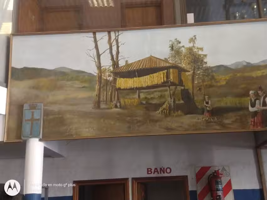 Amortiguadores Julio