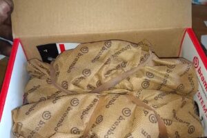 Auto Freno de Marcelo a Panto