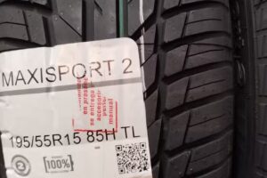 Borel Neumáticos S.R.L.