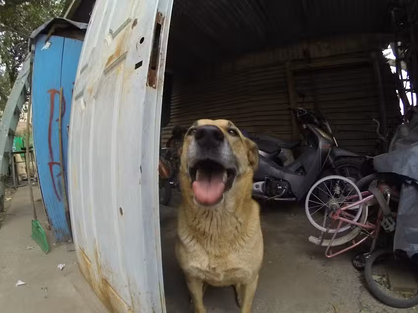 Centrado y colocación de llantas