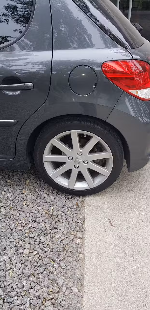 Centro Bridgestone Dinosaurio Mall