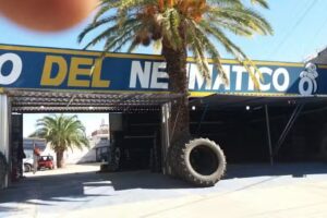 Centro del neumatico