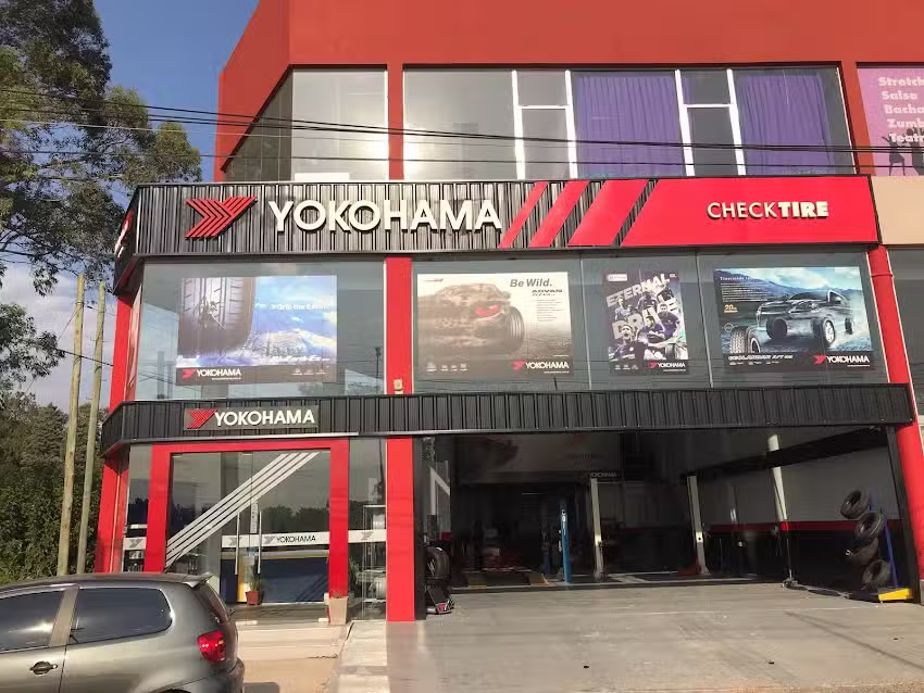 Check Tire neumaticos