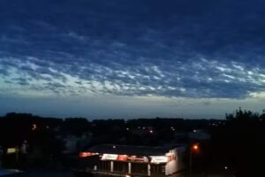 D’ANGELO NEUMÁTICOS