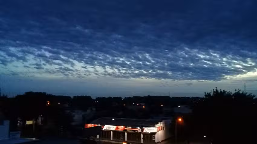 D’ANGELO NEUMÁTICOS