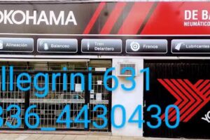 De Battista Neumáticos Nacional e Importados