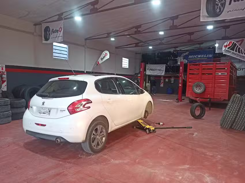 Don Salvador Neumáticos