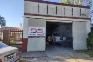 DS Mecánica Automotor