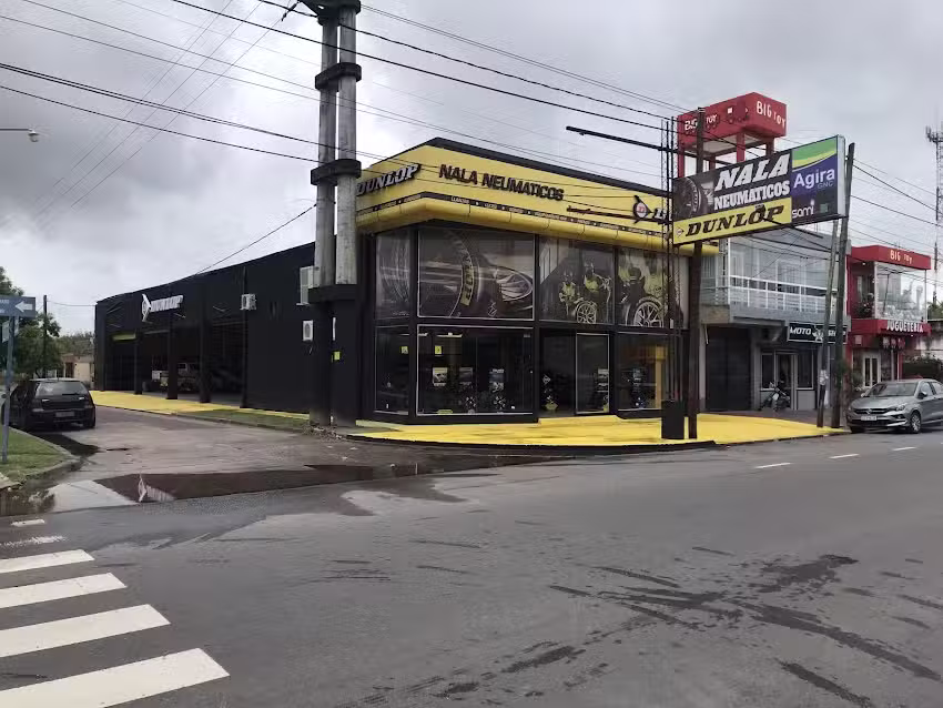 Dunlop neumáticos Sde