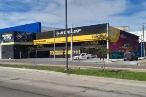 El Arte del Neumatico San Martin