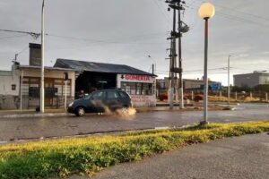 El Ciclón, Gomeria y Serv.