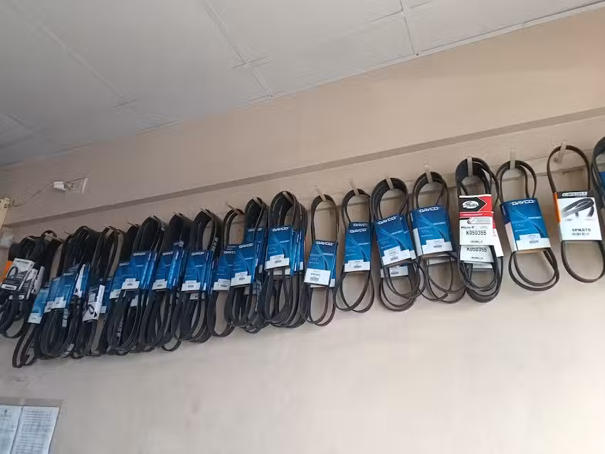 El Emporio de la Correa