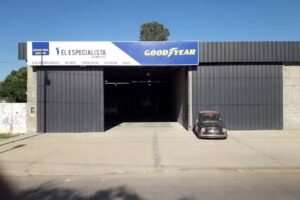 El especialista neumaticos