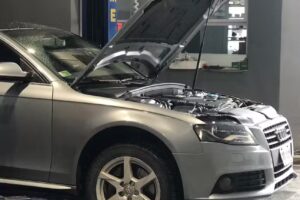 EL GAUCHO Todo Suspensión