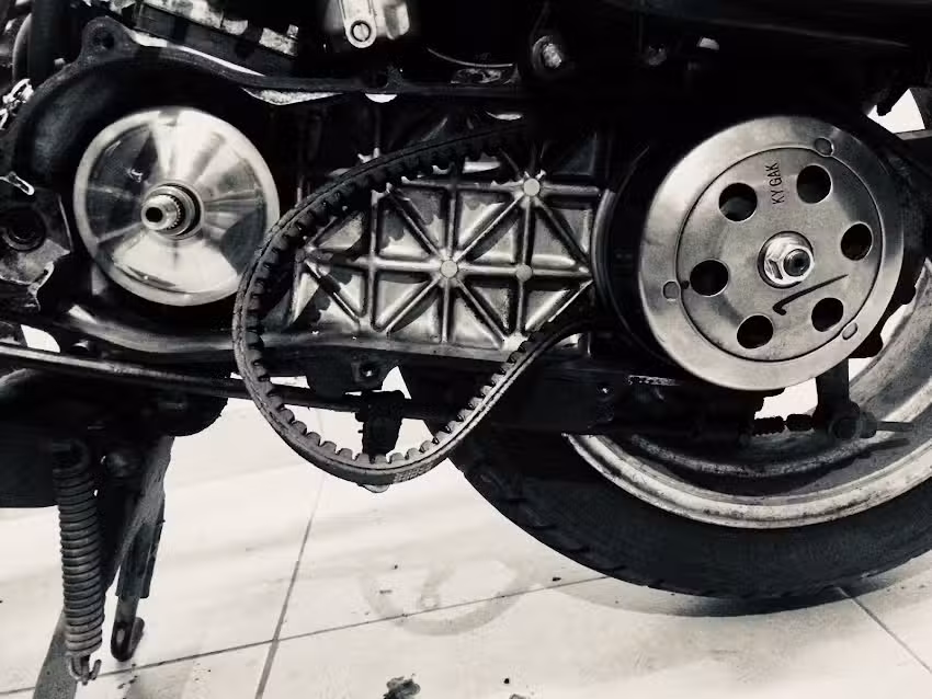 El Taller del Bosque