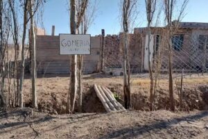 ELECTRICIDAD AUTOMOTRIZ Y GOMERÍA FLORES