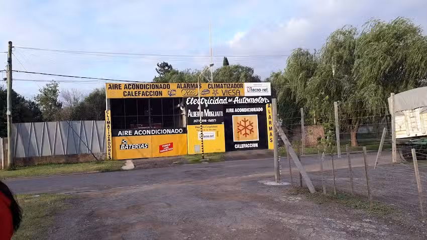 ELECTRICIDAD DEL AUTOMOTOR de ALBERTO MOGLIATTI