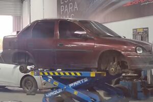 FATE SARAKO NEUMATICOS