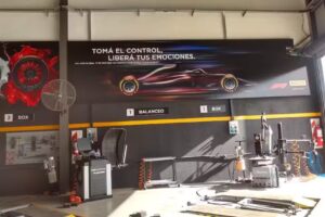 Fleming y Martolio Neumáticos