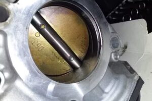 Forest Car – GM SERVICE