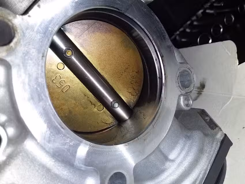 Forest Car – GM SERVICE