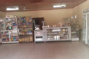 Gerardo repuestos y neumáticos