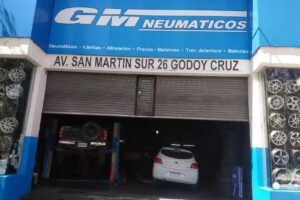 GM neumaticos