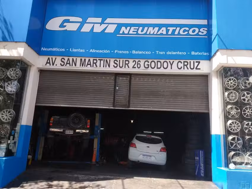 GM neumaticos