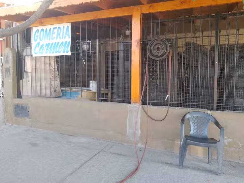 Gomeria carmen