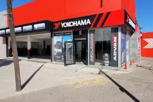 Gomeria Catalino Centenario