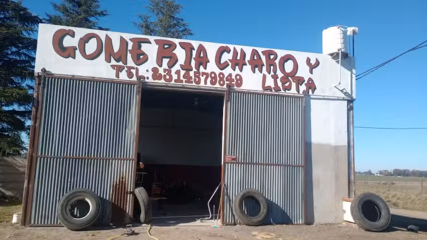 Gomeria charo