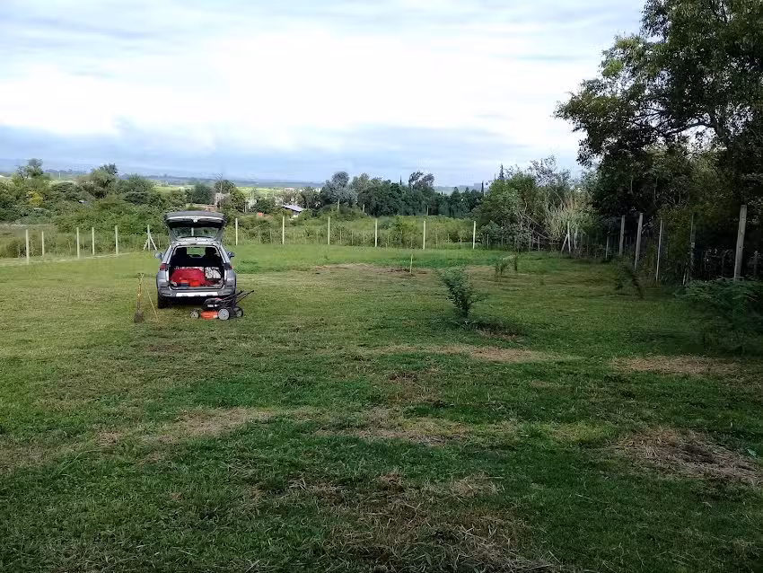 Gomería Constitución