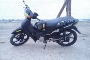 «Gomeria» E. Leones