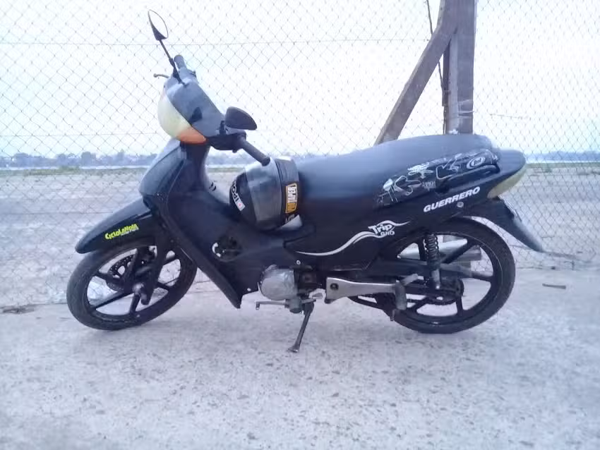 «Gomeria» E. Leones