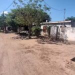 Gomería El Algarrobo