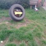 Gomeria «El Gallego»