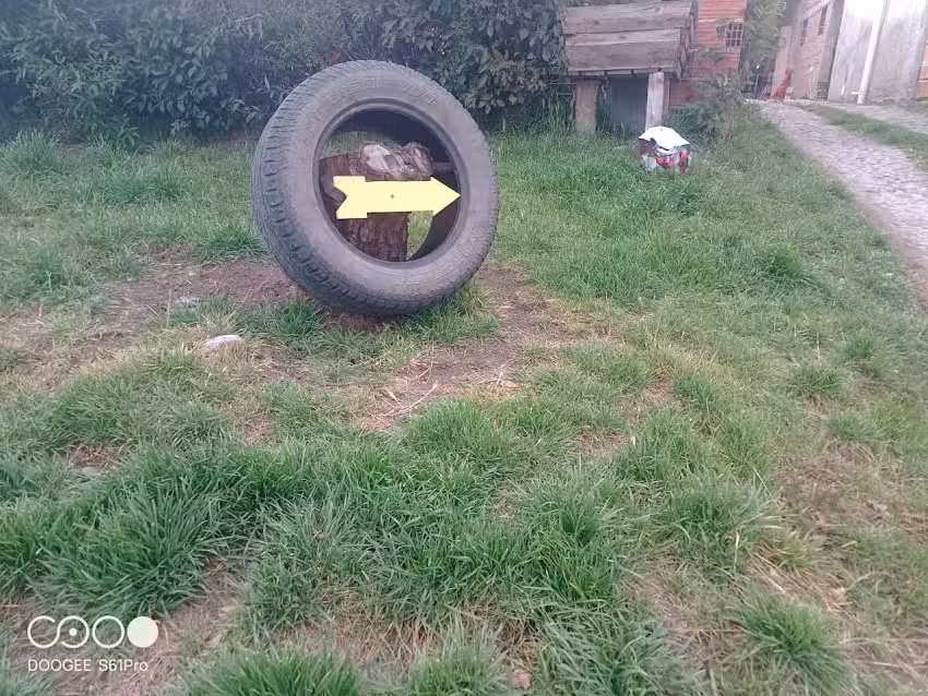 Gomeria «El Gallego»