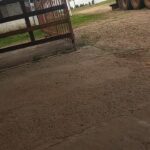 Gomería El GAUCHITO