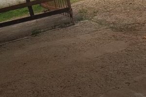 Gomería El GAUCHITO