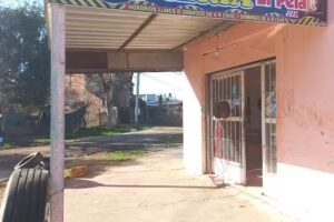 Gomeria » El pela»