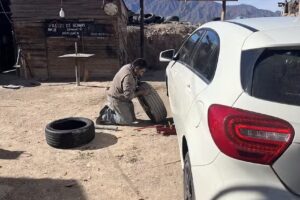 Gomería el pichón de bruja