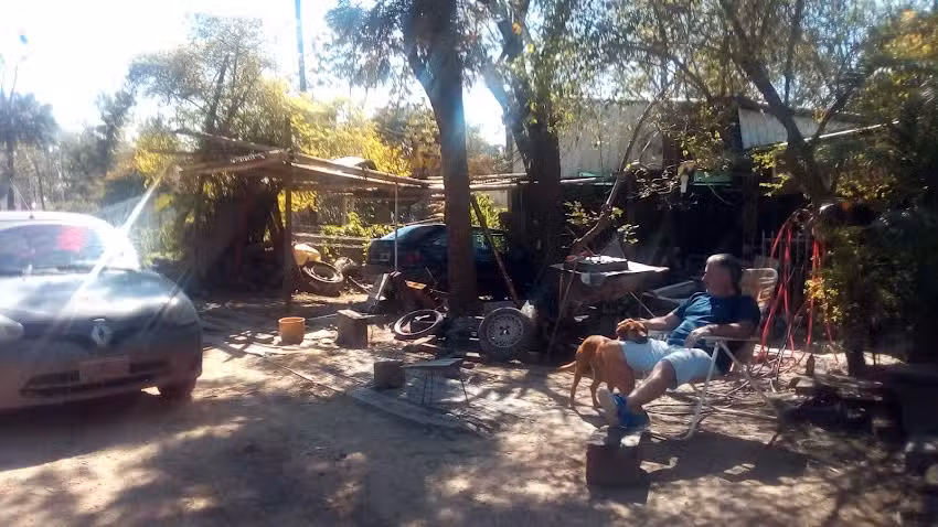 Gomería El profesional