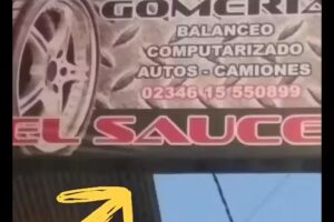 GOMERIA EL SAUCE