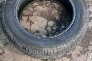 Gomeria El Viejo Galpon Lomas de Zamora